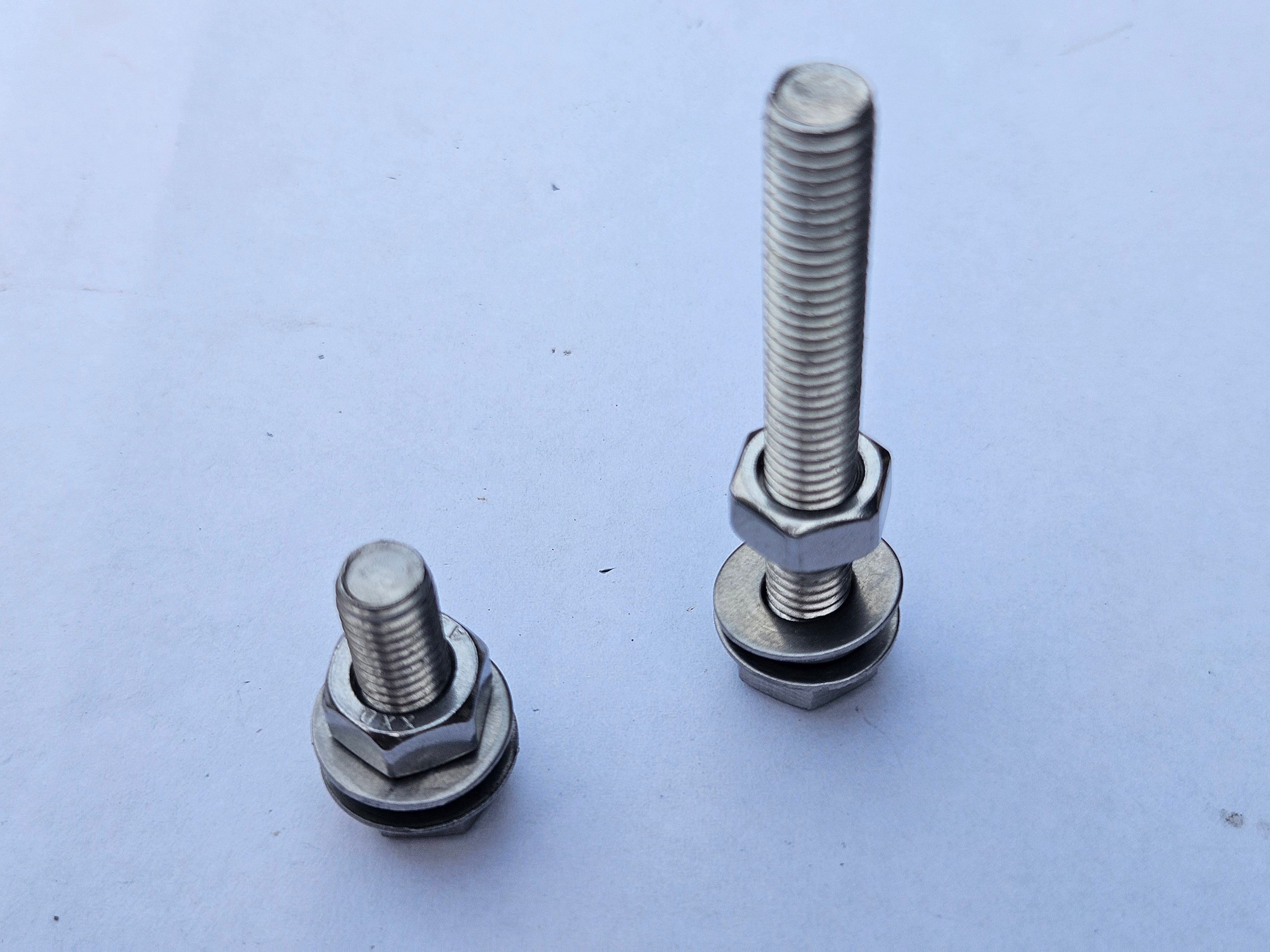 SS Bolts